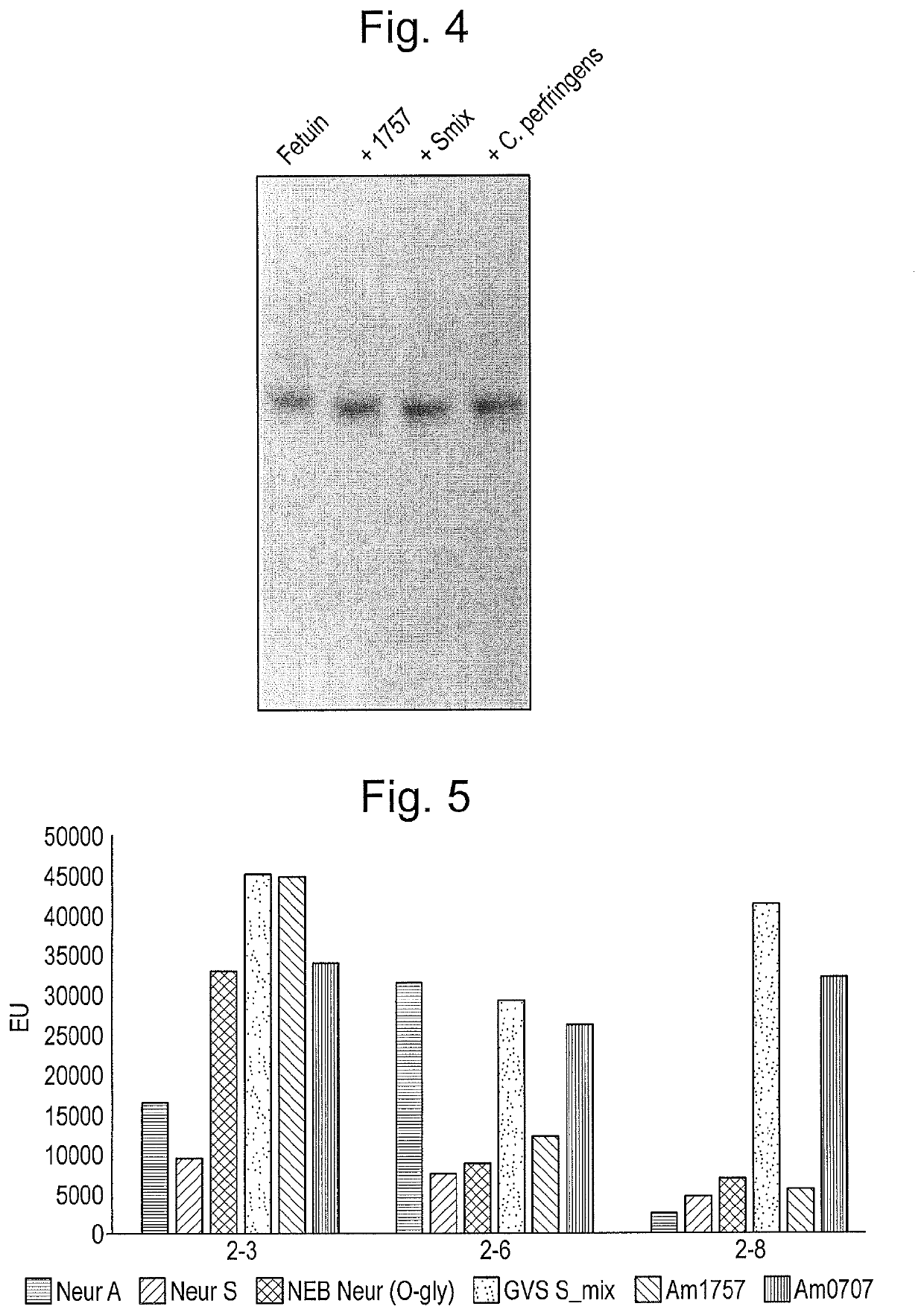 Enzymes for Glycan Analysis