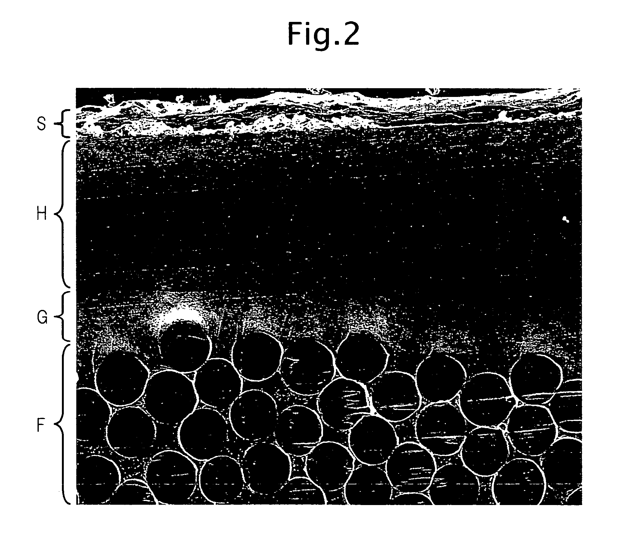 Hollow Weave Fabric for an Air Bag and Method of Producing the Same