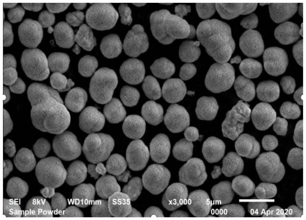 Method for preparing single crystal NCMA precursor material