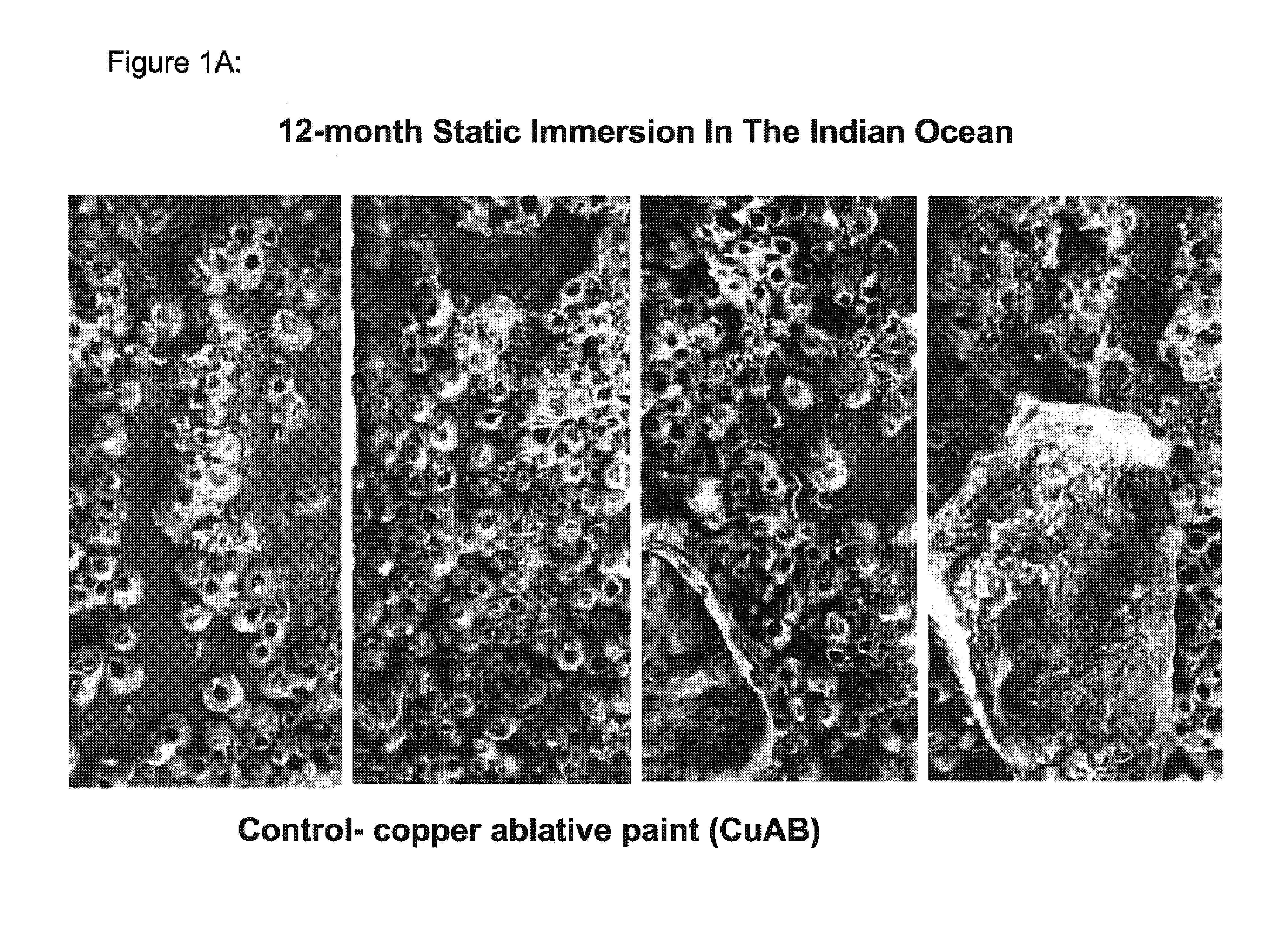 Marine antifouling coating compositions
