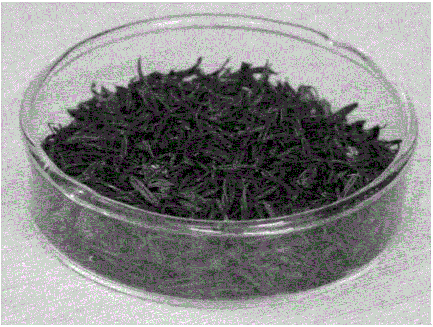 Preparation method of biomass activated carbon rich in nitrogen and oxygen