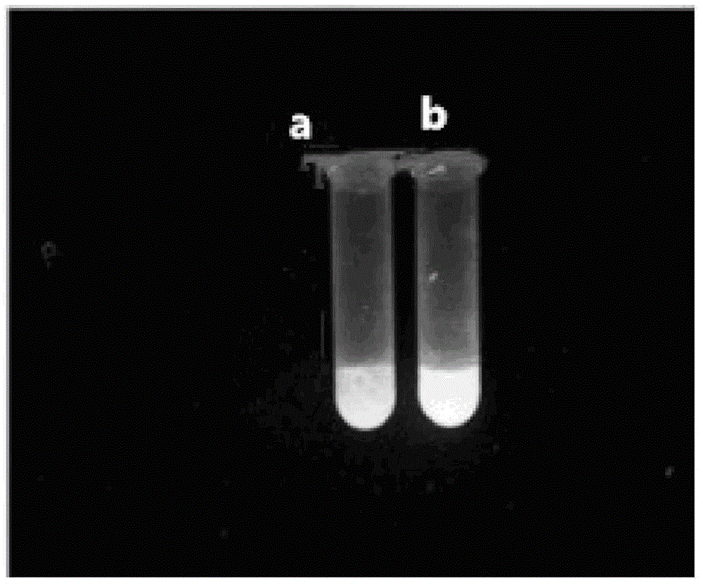 Electric-stimulation fluorescence-response aquagel