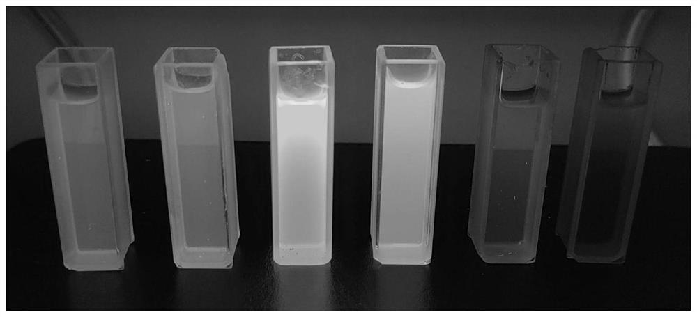 Preparation method and application of fluorescent carbon quantum dots