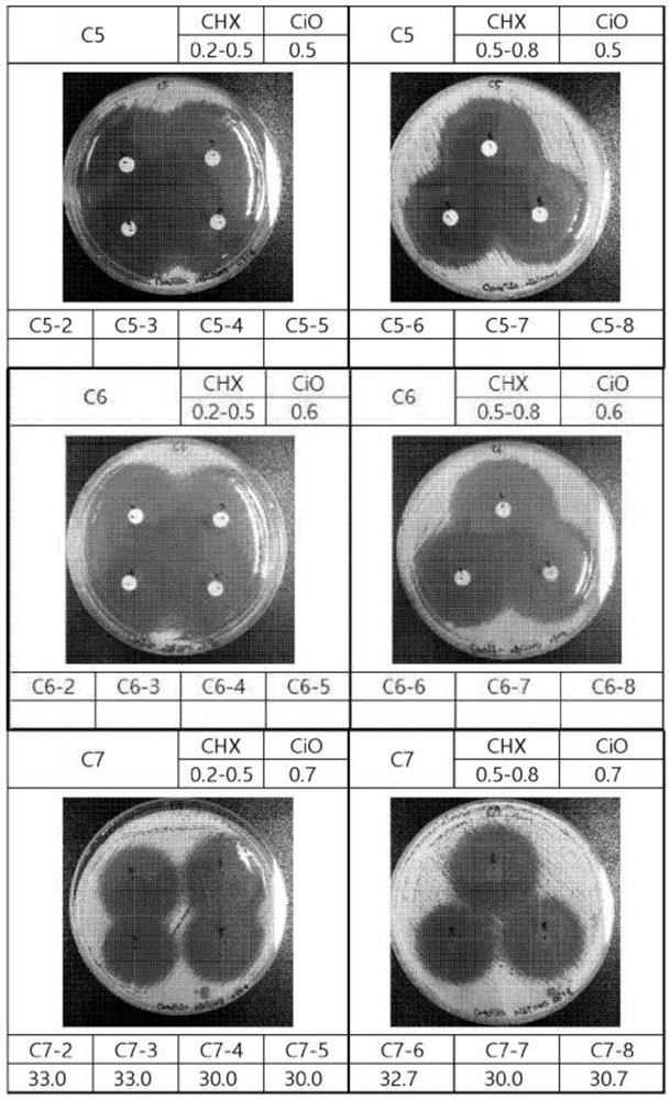 Composition for prevention or treatment of skin infection