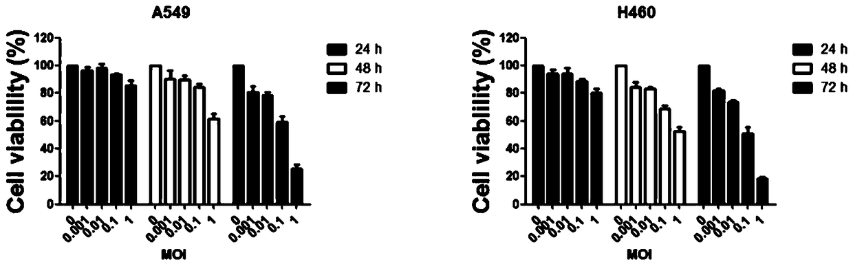 Oncolytic virus and application