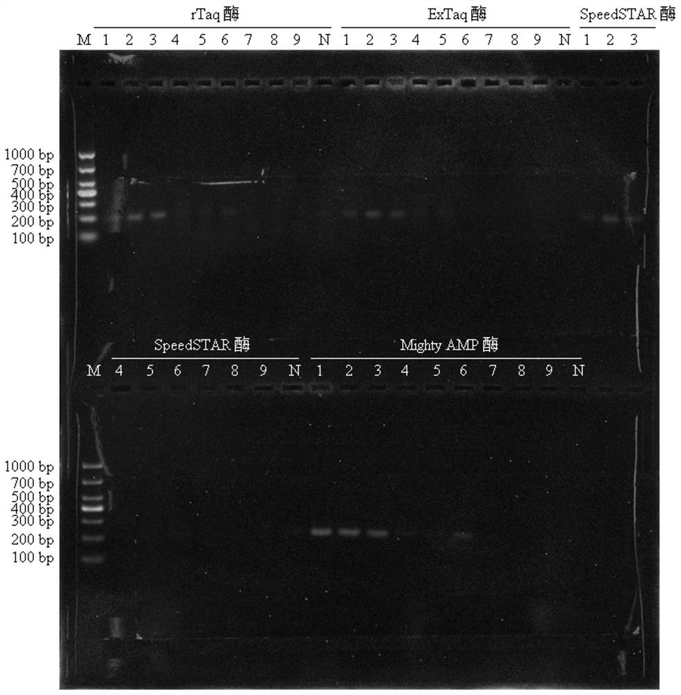 Primer combination for PCR (Polymerase Chain Reaction) identification of long-noded pit viper medicinal material, standard decoction and traditional Chinese medicine formula granules as well as application and identification method of primer combination