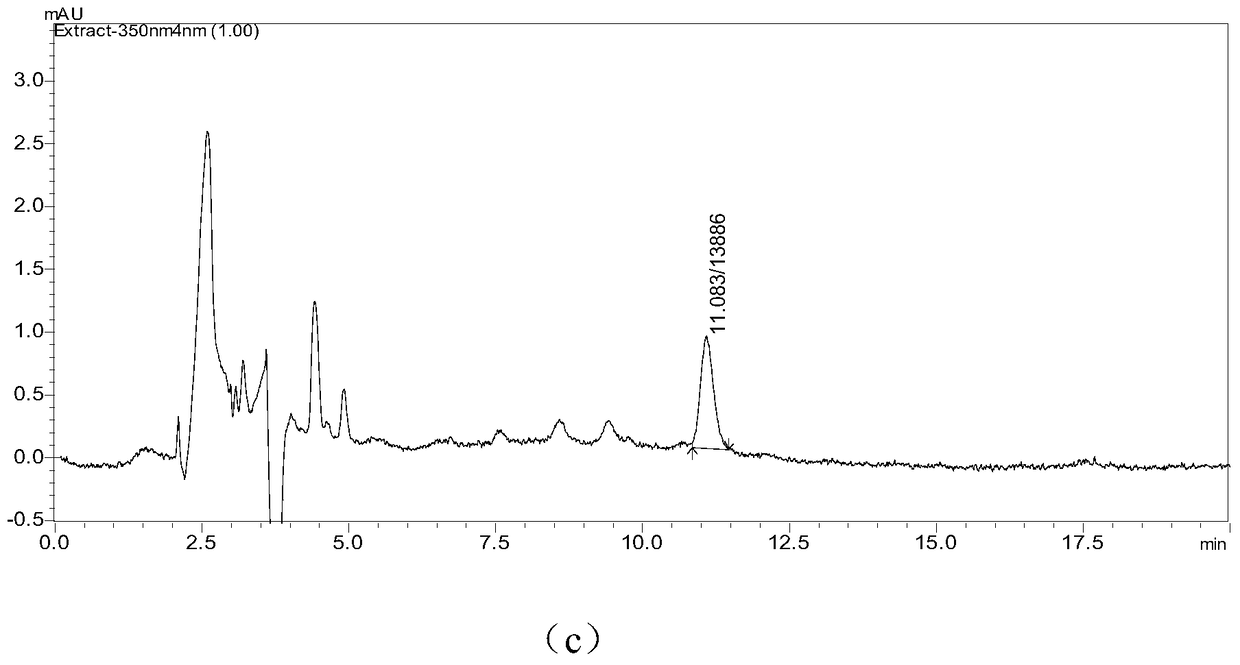 Chinese medicine composition for treating wounds and preparation method of Chinese medicine oil dressing based on the Chinese medicine composition