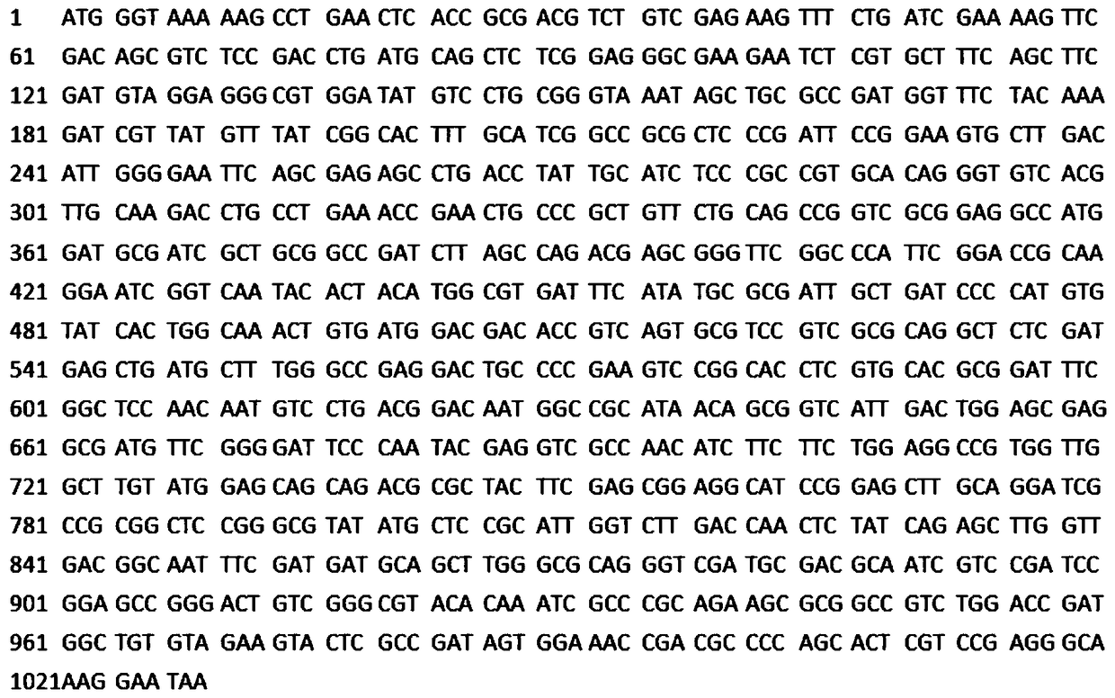 A Saccharomyces cerevisiae gene expression system and its construction and application