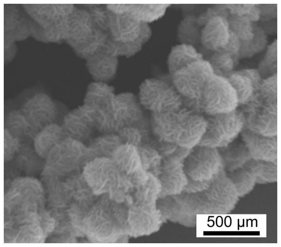 A preparation method of molybdenum disulfide microcapsules, positive electrode of magnesium ion battery, magnesium ion battery