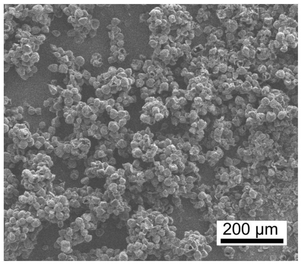 A preparation method of molybdenum disulfide microcapsules, positive electrode of magnesium ion battery, magnesium ion battery