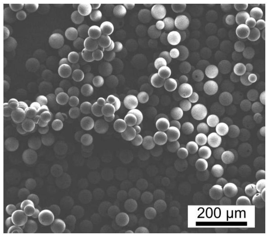 A preparation method of molybdenum disulfide microcapsules, positive electrode of magnesium ion battery, magnesium ion battery