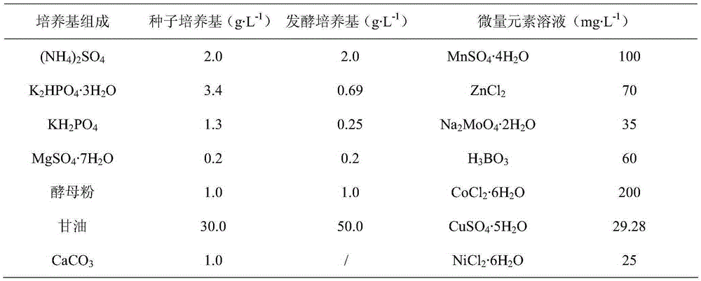 An engineering bacterium for knocking out pyruvate formate lyase gene and its application