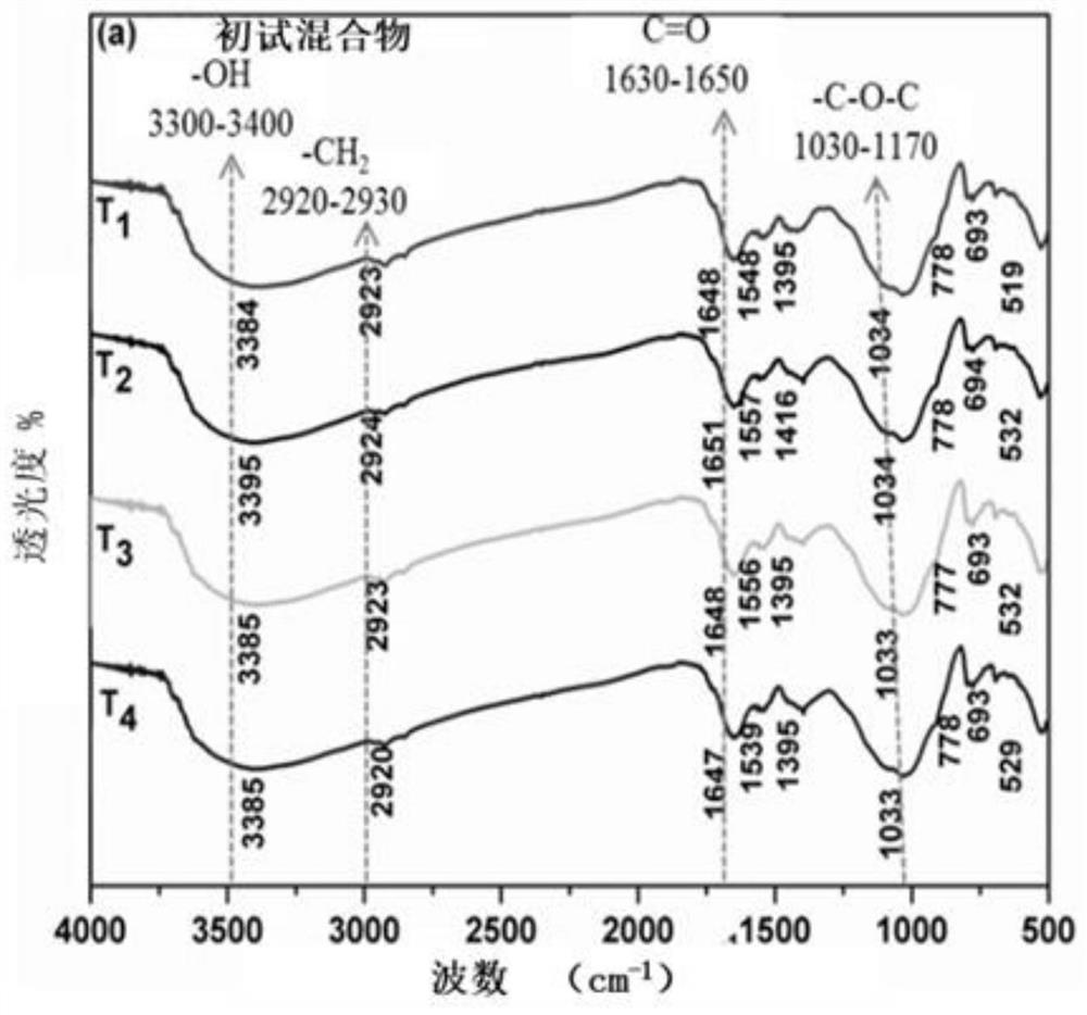 Sludge and kitchen waste combined biotransformation method