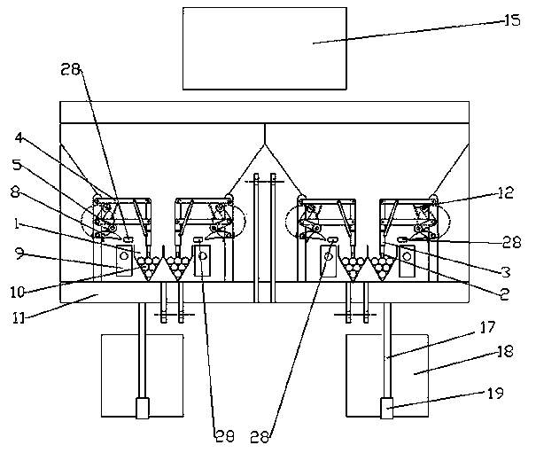 Sugarcane seeder unit