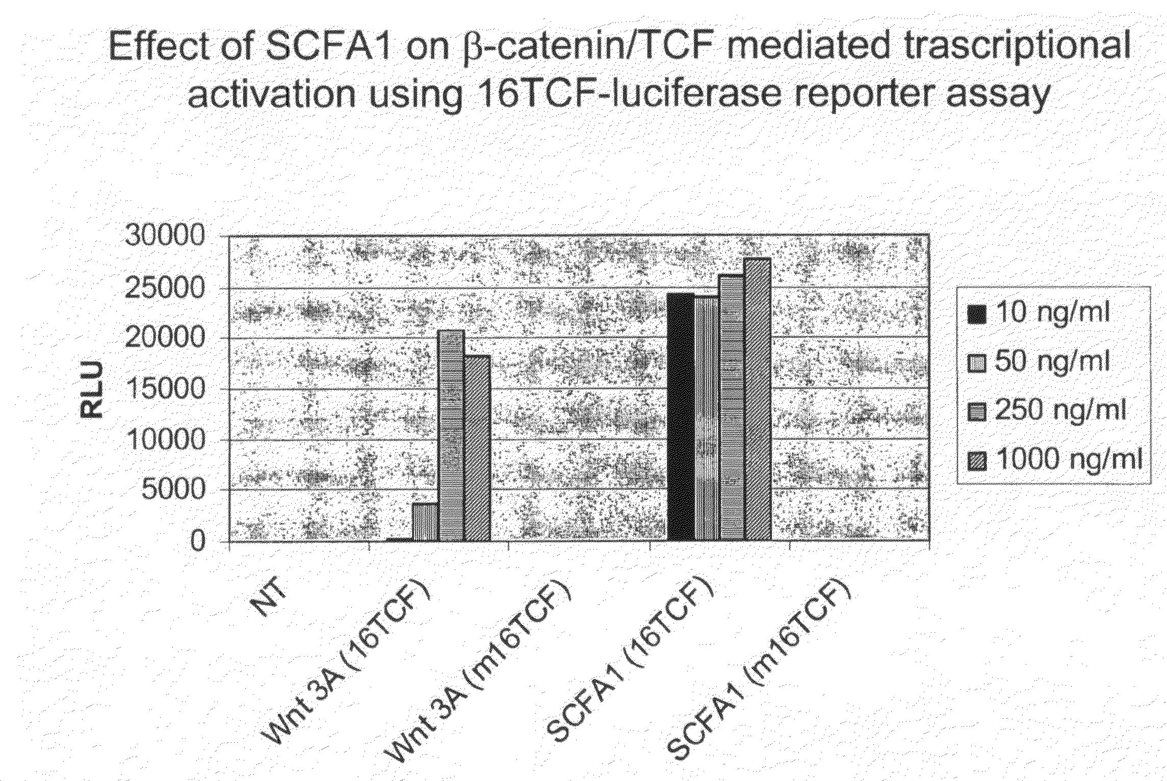 Stem Cell Factor-Like Protein Scfa1 and Uses Thereof