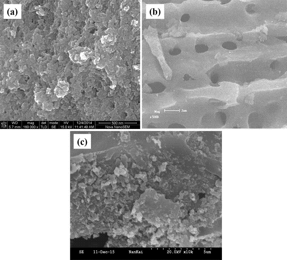 Preparation method and applications of ferrous sulfide/biological carbon composite material