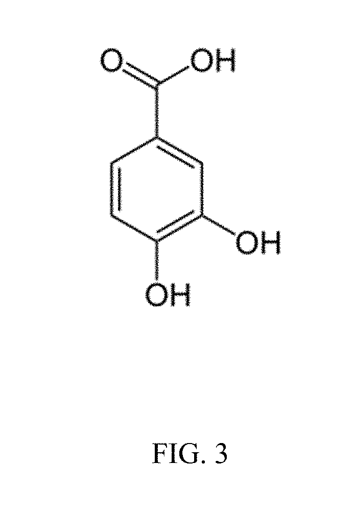 Antimicrobials and methods of use thereof
