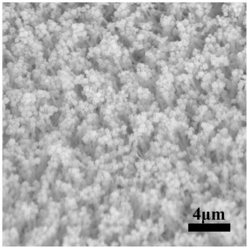 MOF compounded copper-based nanorod array@foam copper based composite electrode material, preparation method and application thereof