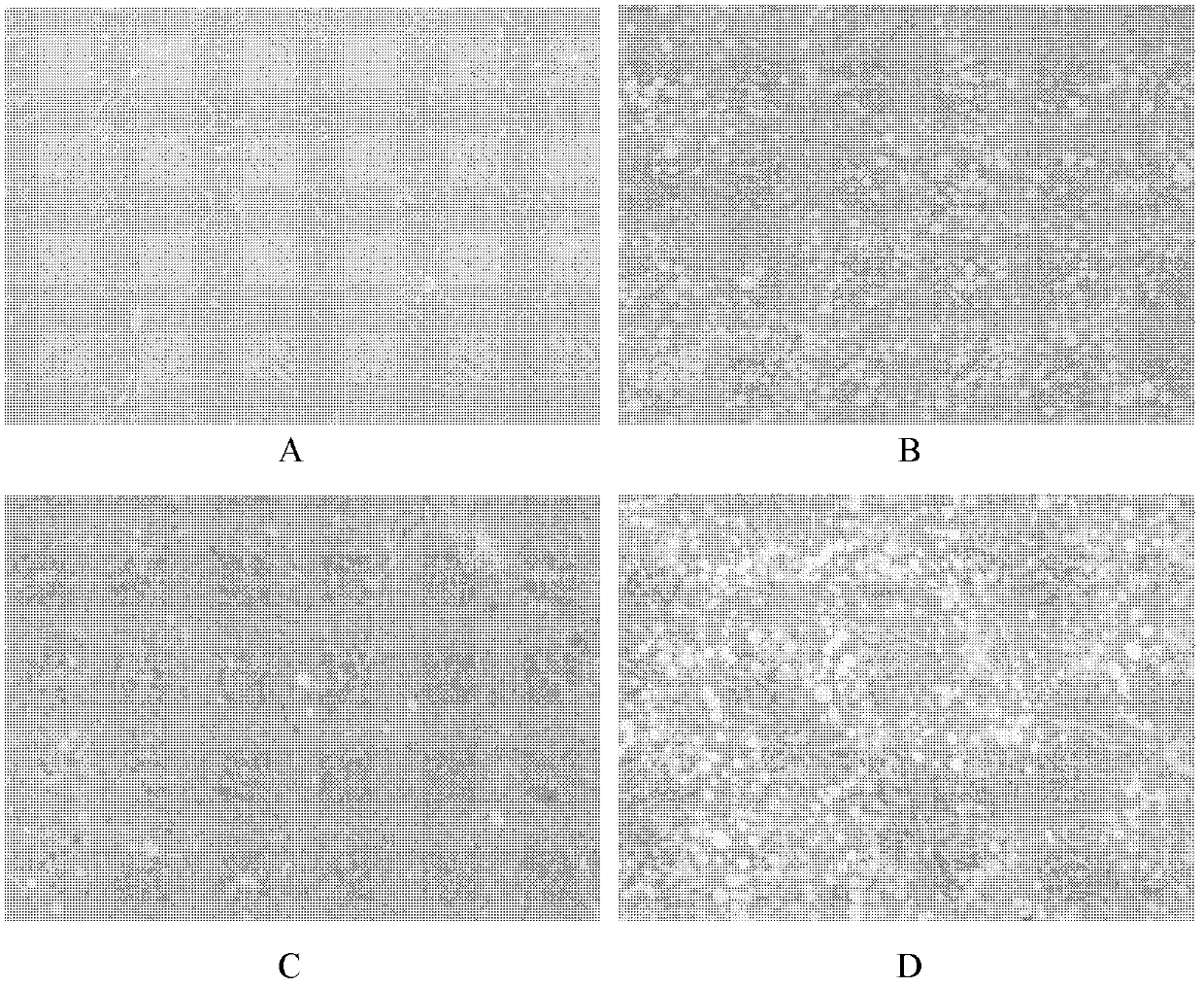 Selenium-containing curcumin polymer and its preparation method and application