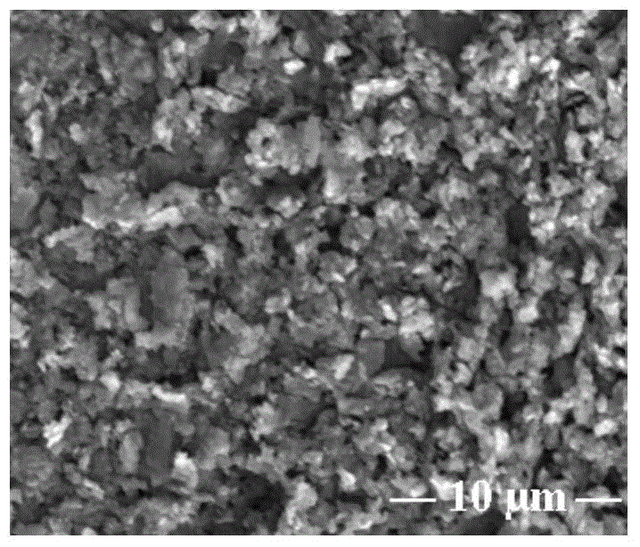 Method for bonding carboxymethyl chitosan bioactive molecules on surface of magnesium alloy