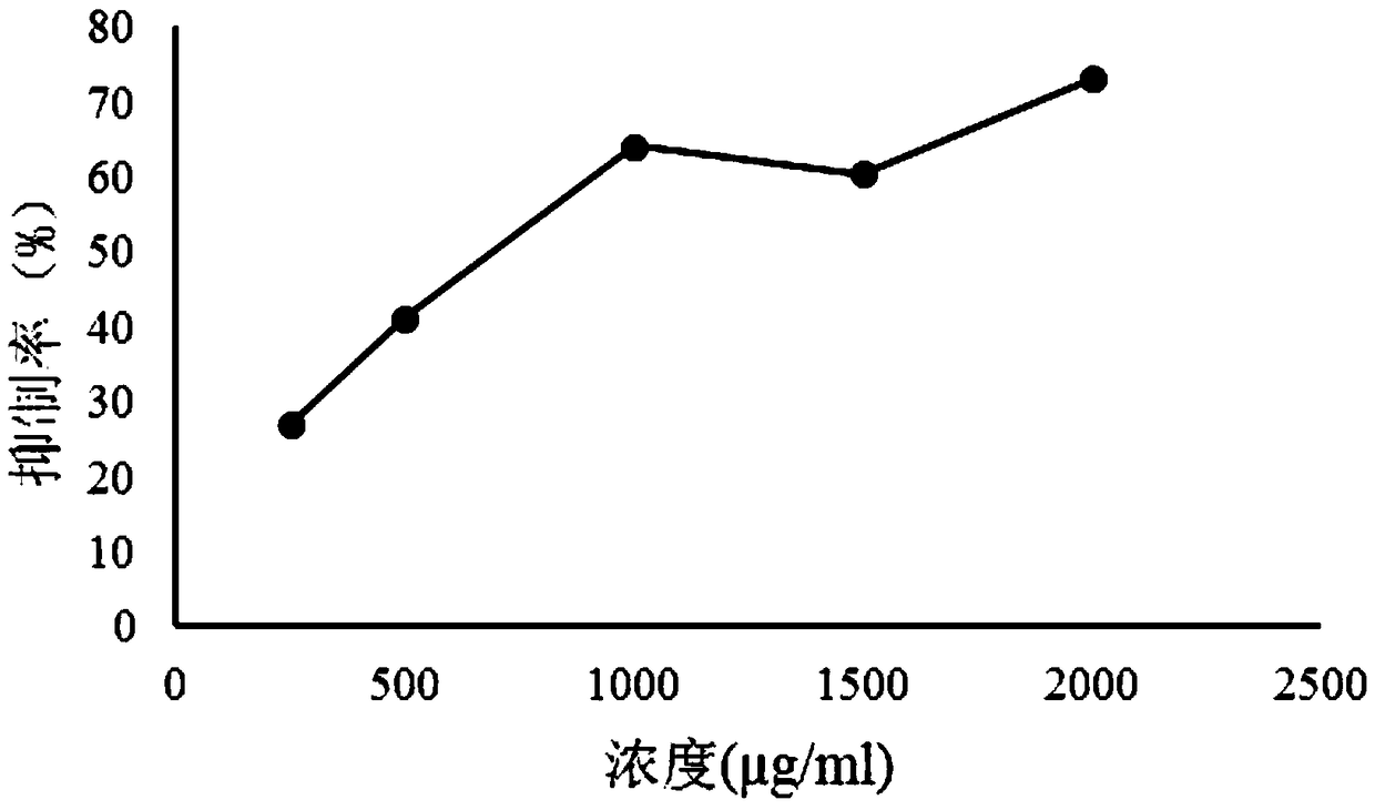 Application of golden camellia seed extractive to alpha-glucosidase inhibitor