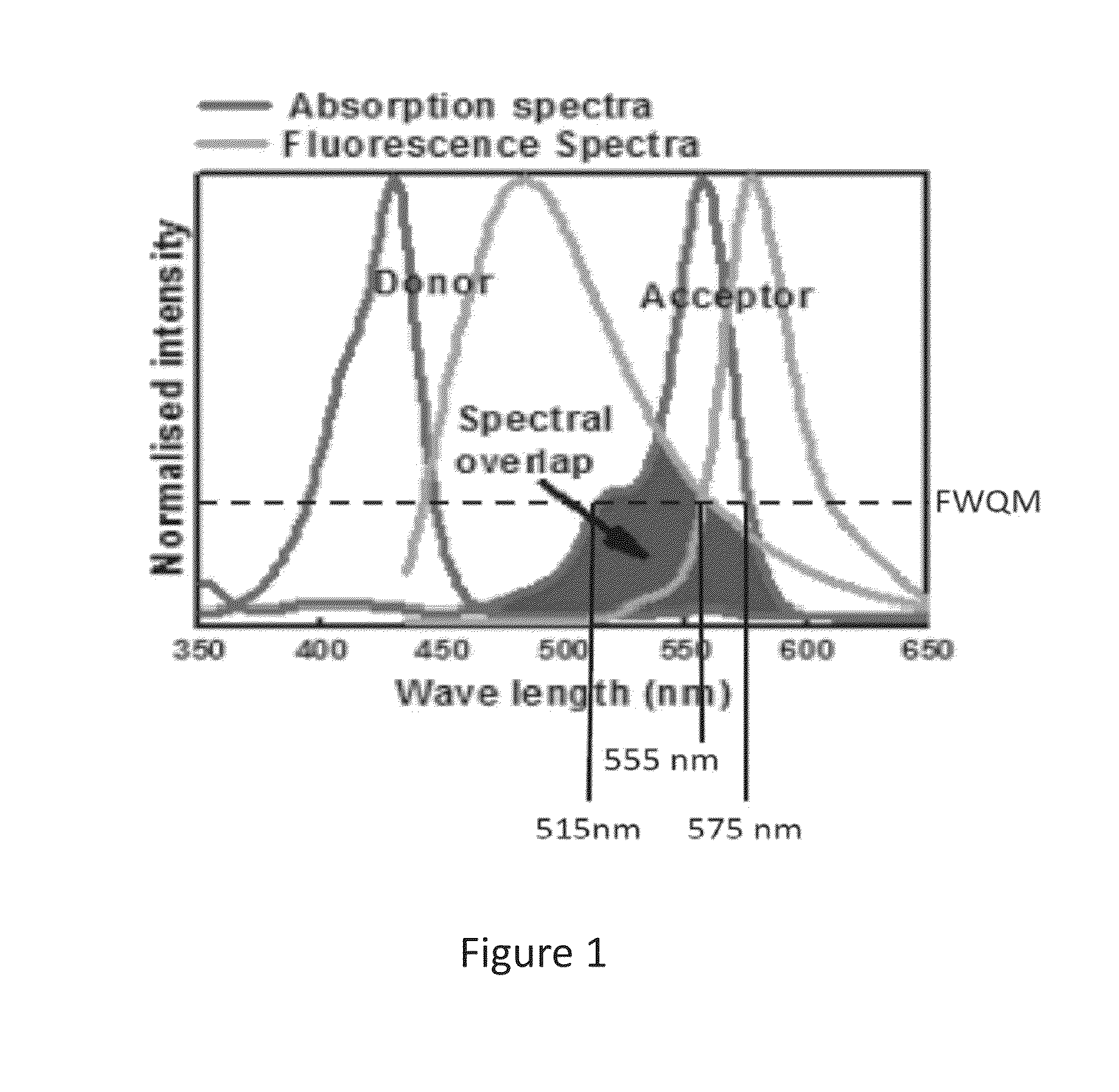 Biophotonic materials and uses thereof