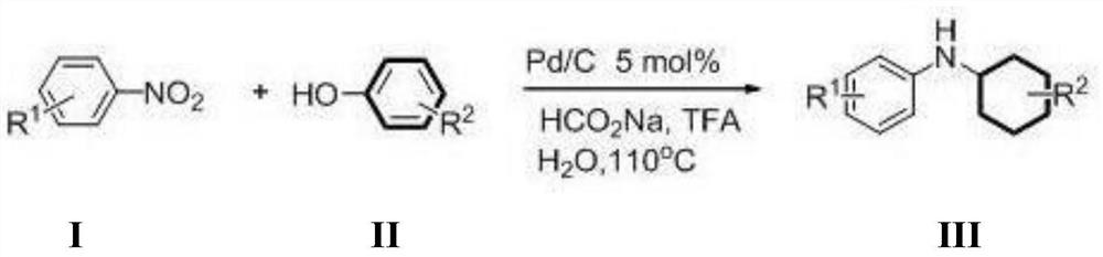 A kind of preparation method of substituted secondary aromatic amine compound