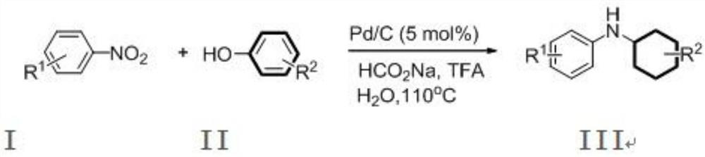 A kind of preparation method of substituted secondary aromatic amine compound