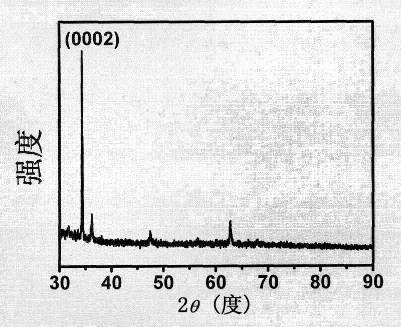 Method for preparing ZnO nanowire array