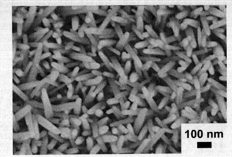 Method for preparing ZnO nanowire array