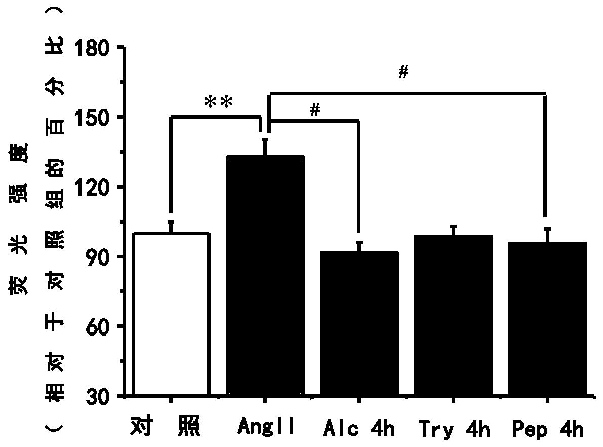 Application of Broad Bean Protein Peptide in Preparation of Drugs for Treating Inflammation and Drugs