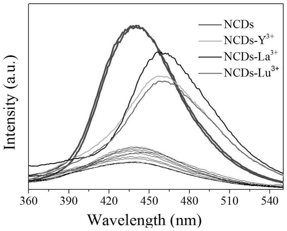 Rare earth element qualitative and quantitative detection method based on carbon quantum dot fluorescence mechanism
