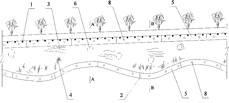 Vertical revetment river lake water wet land system and construction method thereof