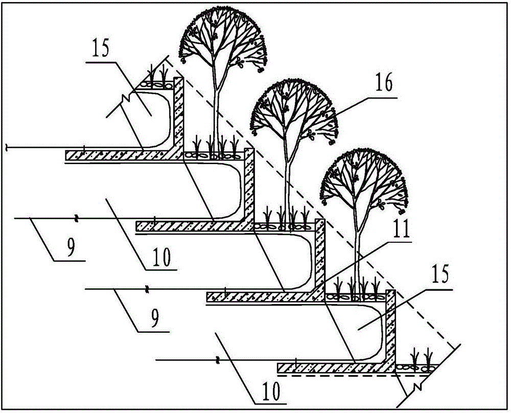 Ecological slope protection composite retaining wall structure and construction method