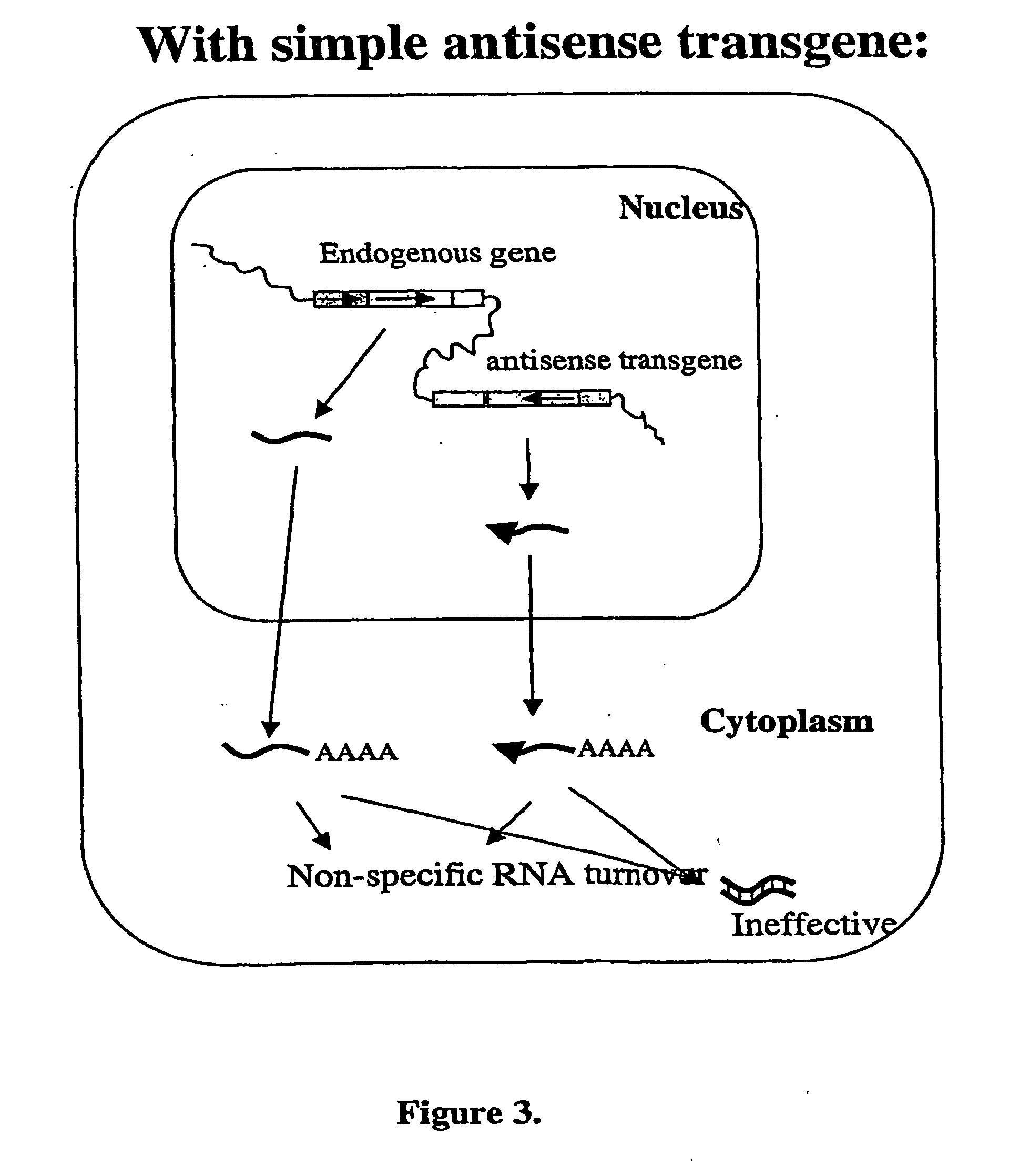 Modified gene-silencing nucleic acid molecules and uses thereof