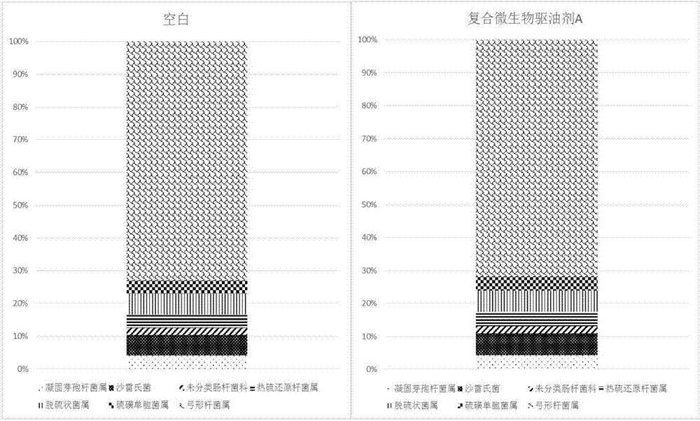 Compound microorganism oil-displacing agent for oil production and compounding method thereof