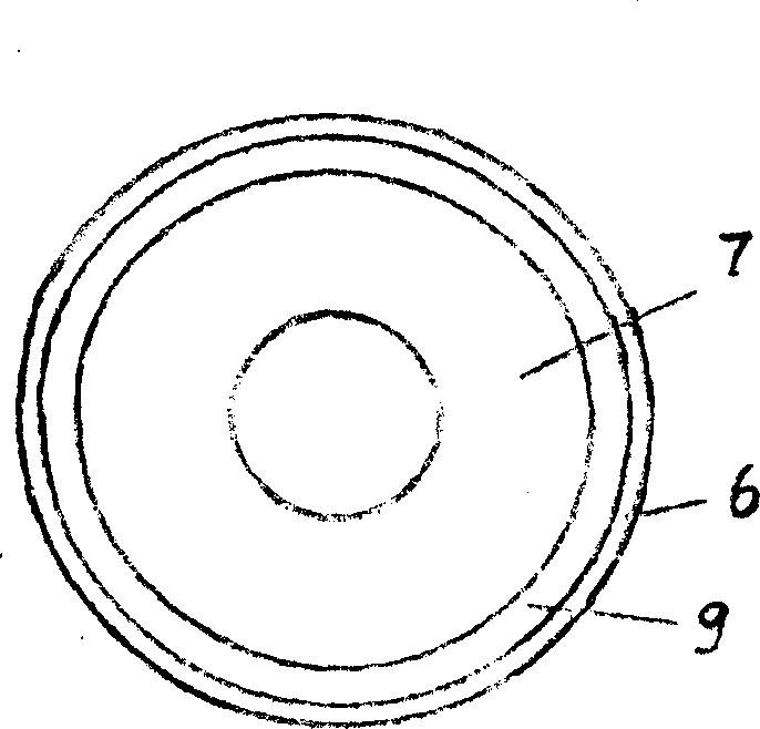 Solid powder combined fuel, and method for preparing the fuel