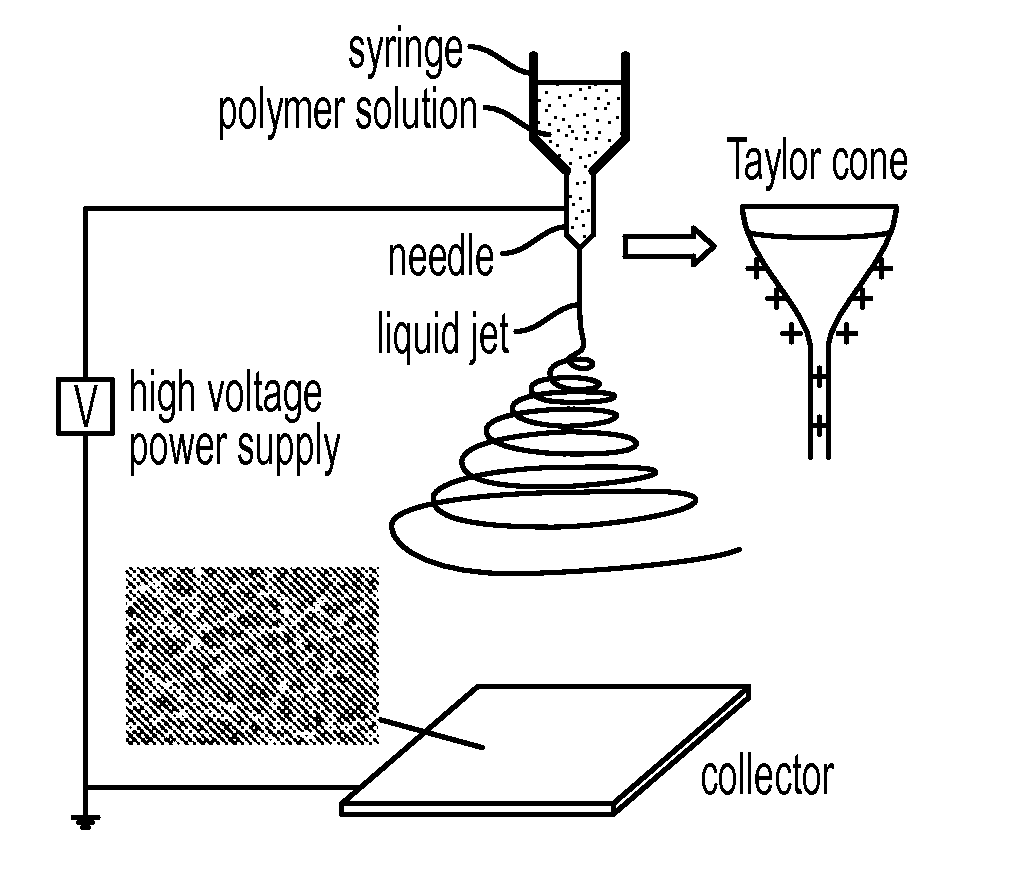 Compositions and Methods for the Prevention of Scarring and/or Promotion of Wound Healing