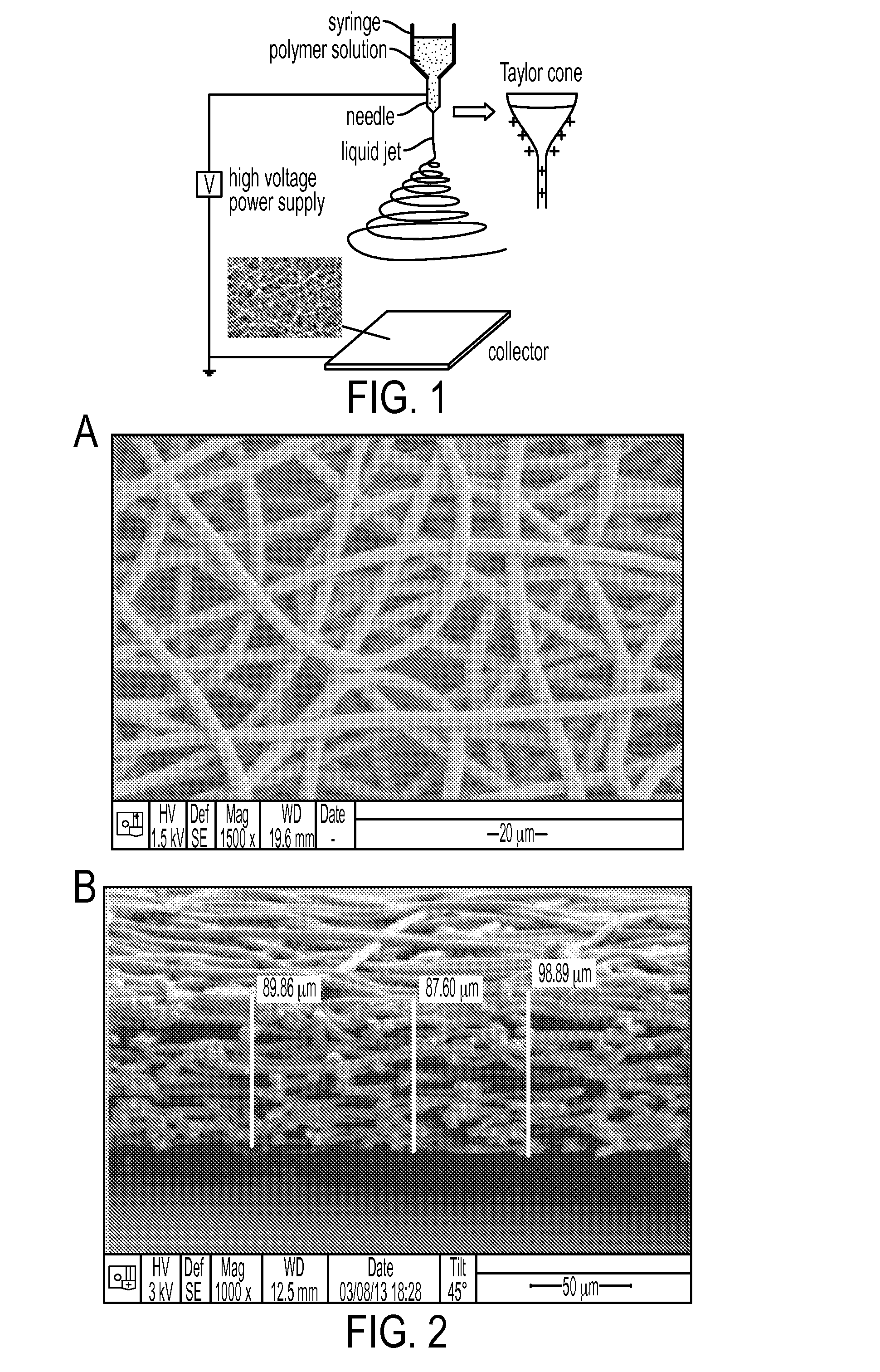 Compositions and Methods for the Prevention of Scarring and/or Promotion of Wound Healing