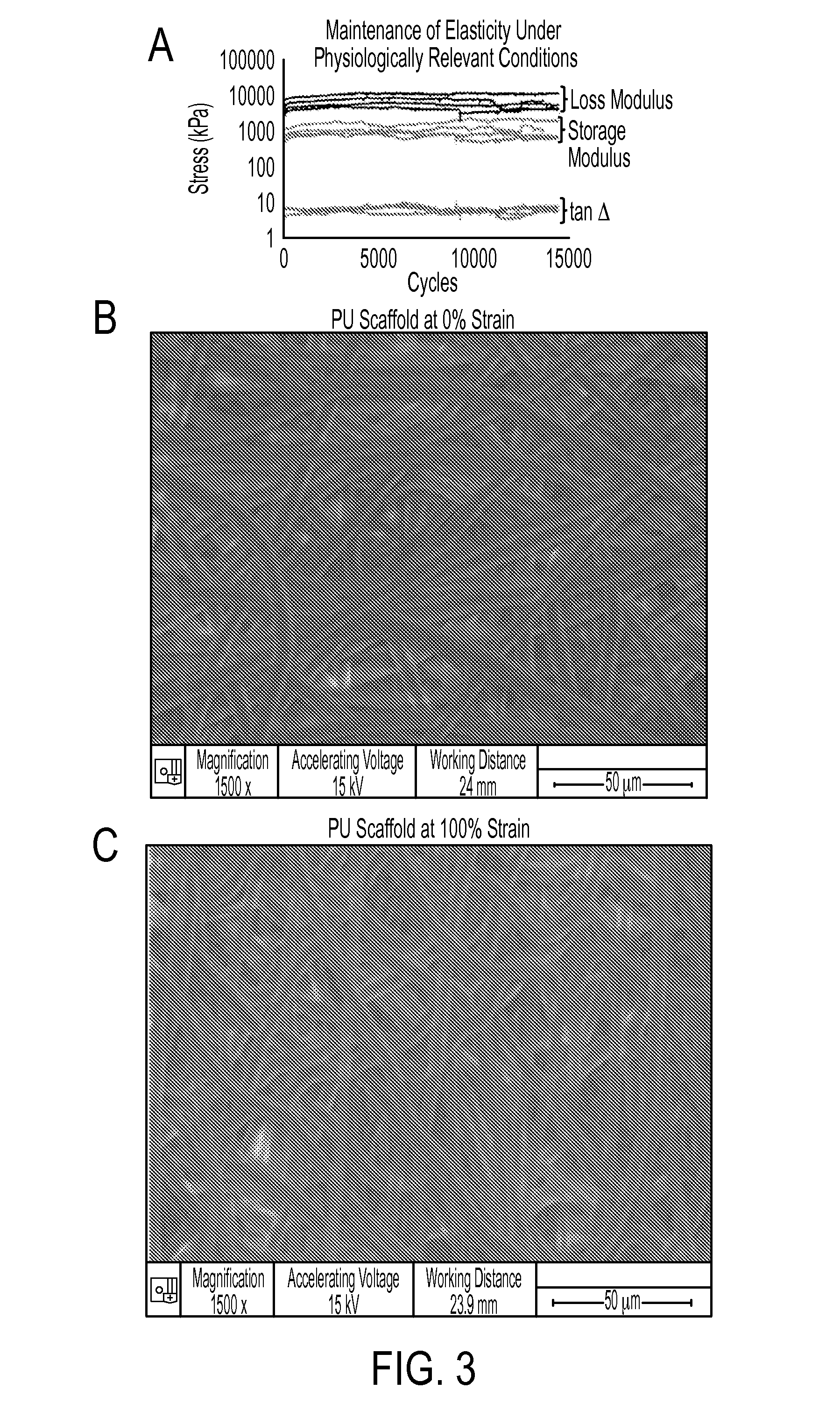 Compositions and Methods for the Prevention of Scarring and/or Promotion of Wound Healing