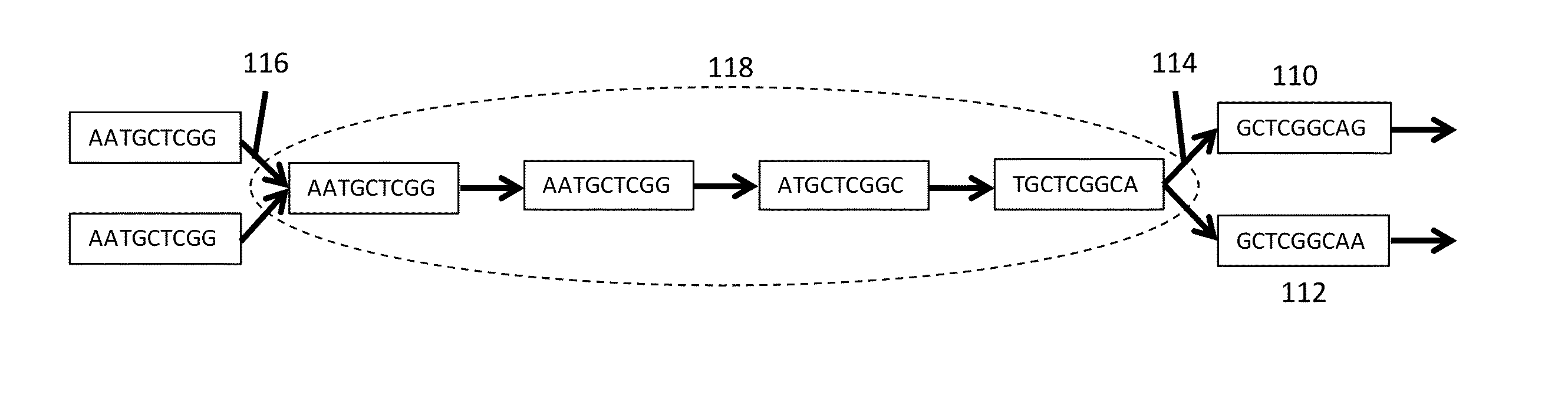 Processes and systems for nucleic acid sequence assembly