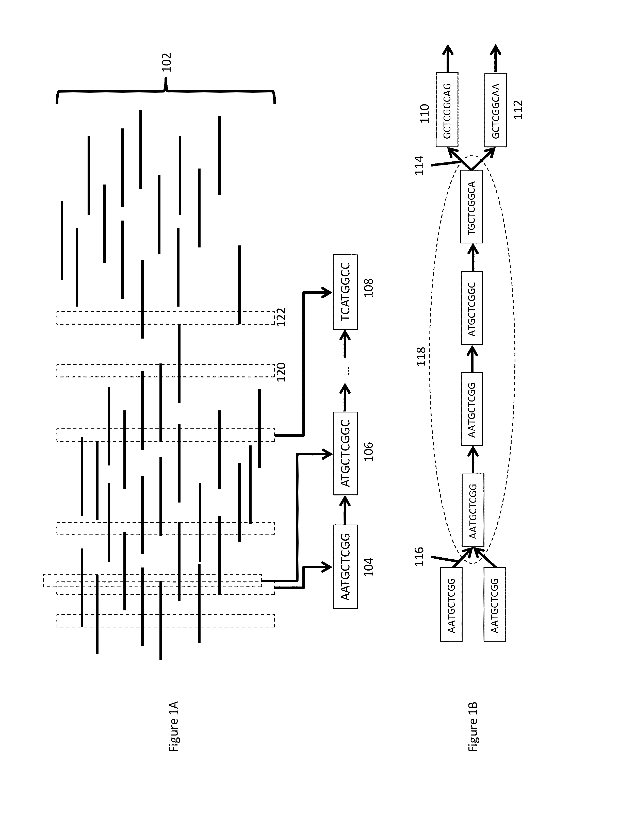 Processes and systems for nucleic acid sequence assembly