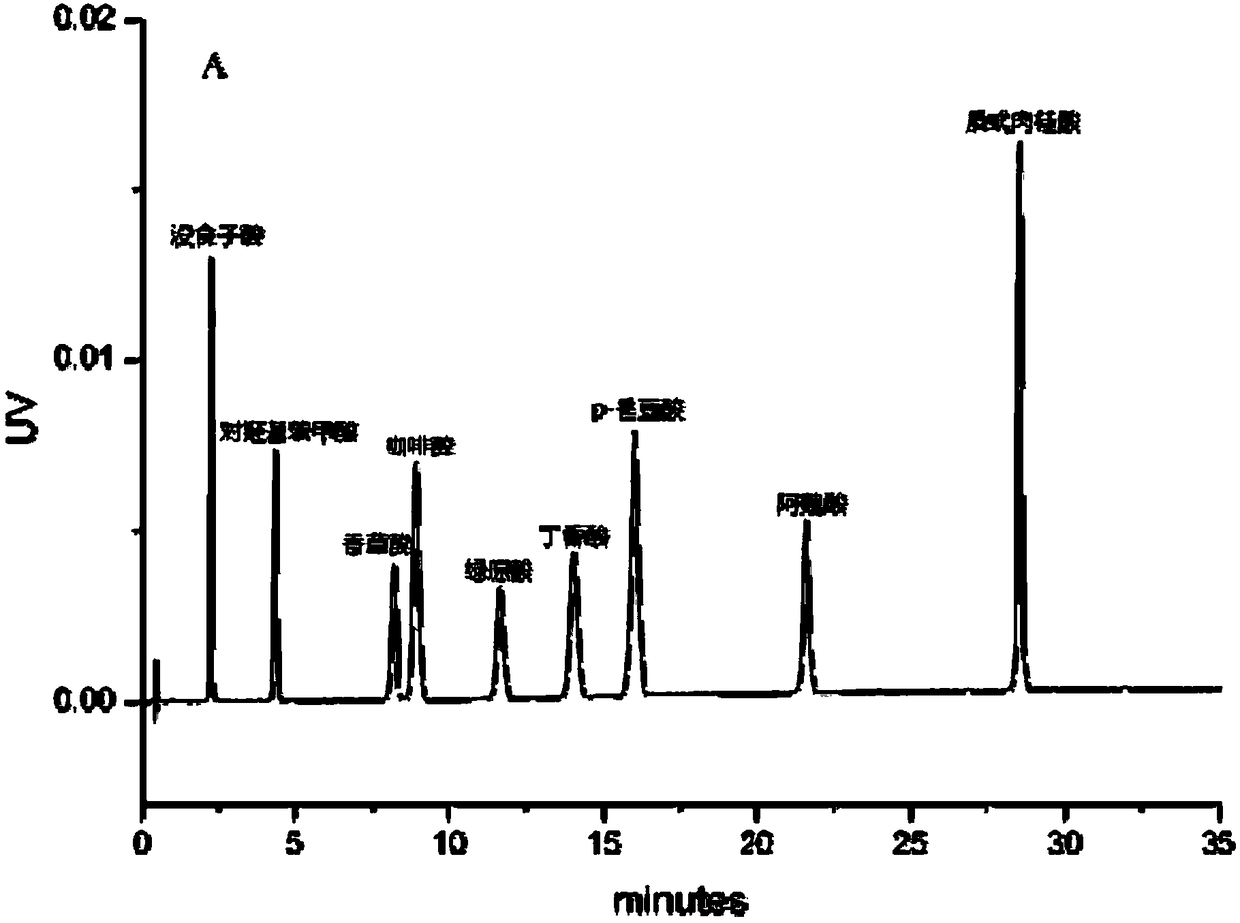 Method for determining phenolic acid compounds in vegetable oil