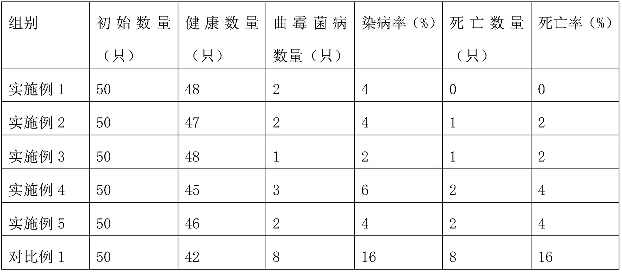 Breeding method for preventing and controlling chicken aspergillus