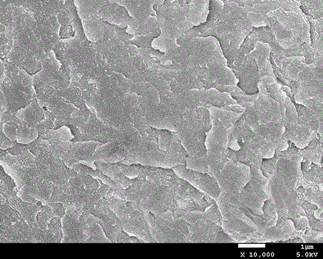A kind of polyaryletherketone nanocomposite material and preparation method thereof