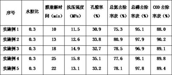 A kind of water purification particle for concrete and preparation method thereof