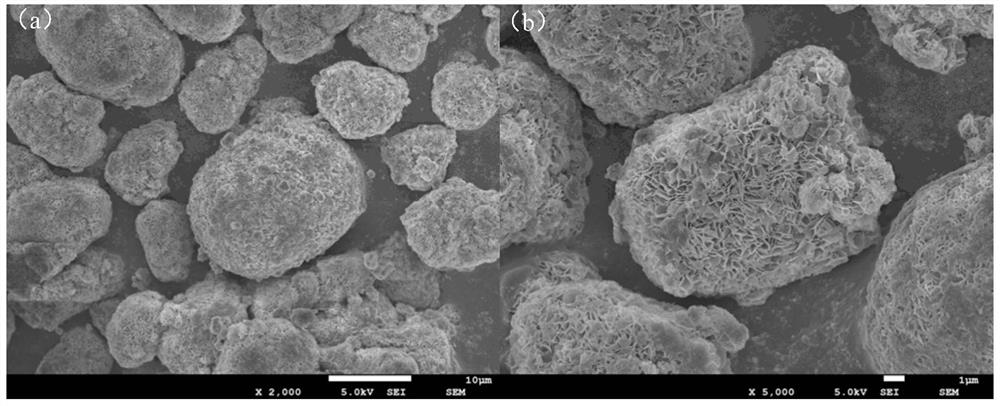 Coated lithium nickel cobalt manganese oxide positive electrode material, preparation method thereof and lithium ion battery