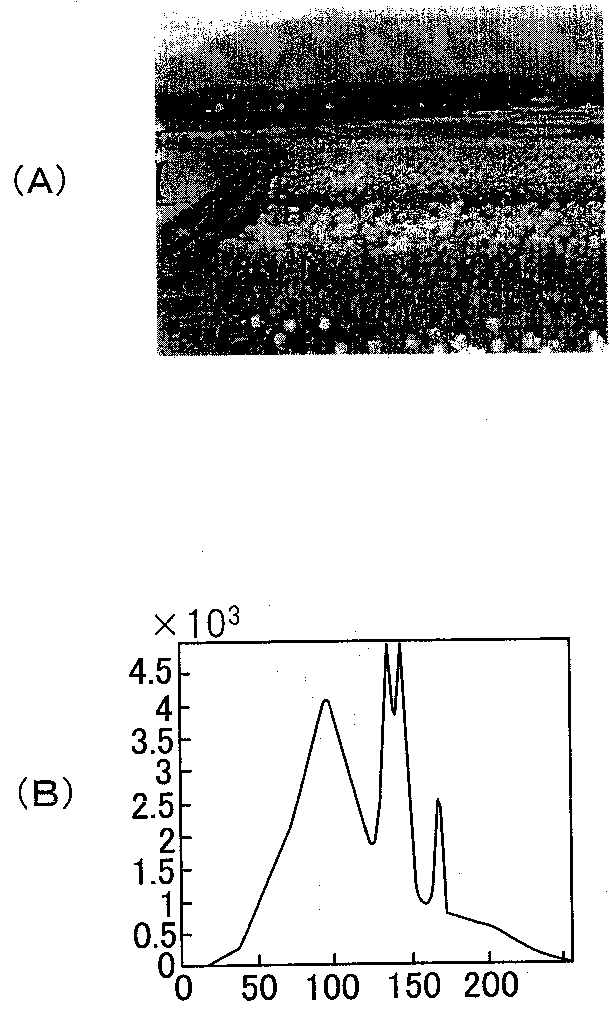 Data compression apparatus, data compression program and image-taking apparatus