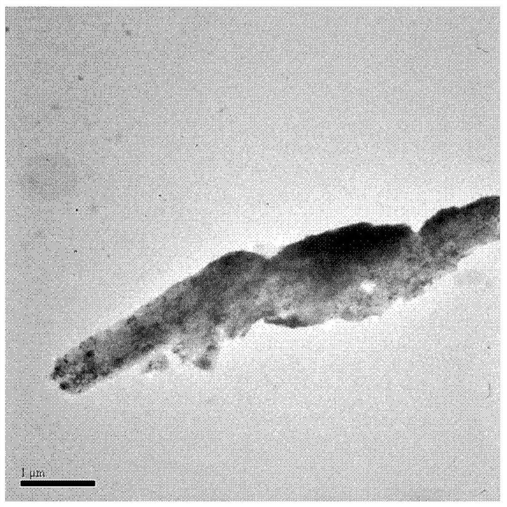 Three-dimensional network graphene airgel, its preparation method and application