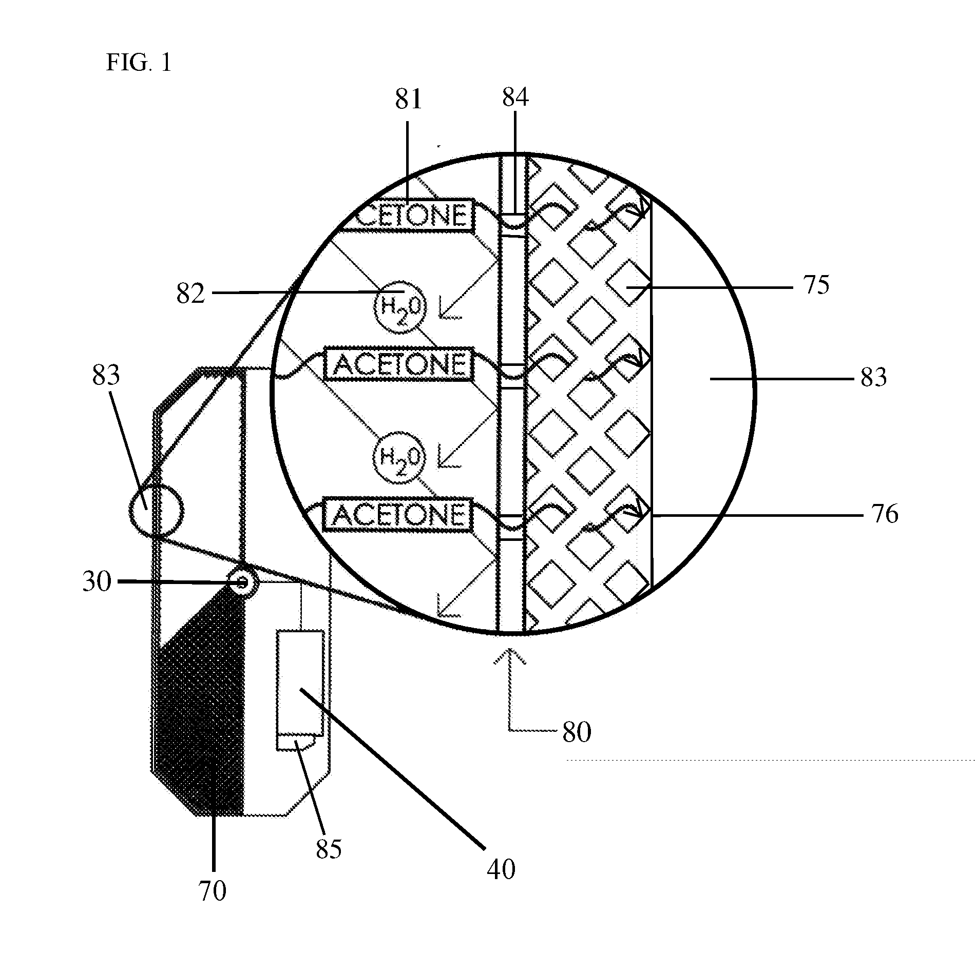 Device for Determining Fat Expenditure from Levels of Ketone Bodies That Have Passed Through the Skin and Methods for Determining the Same